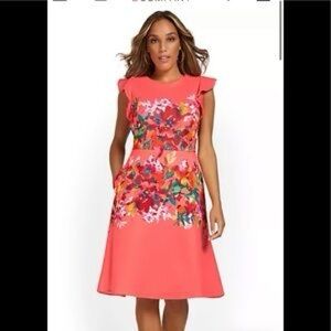 New York & Company Orange Sheath Dress with Flutter Sleeves